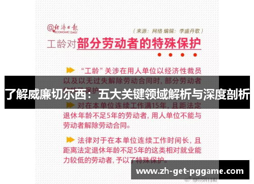 了解威廉切尔西：五大关键领域解析与深度剖析