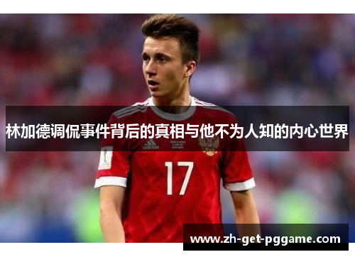 林加德调侃事件背后的真相与他不为人知的内心世界 林加德调侃事件背后的真相与他不为人知的内心世界