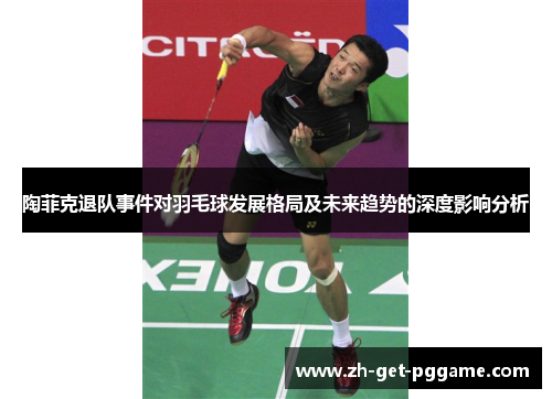 陶菲克退队事件对羽毛球发展格局及未来趋势的深度影响分析 陶菲克退队事件对羽毛球发展格局及未来趋势的深度影响分析