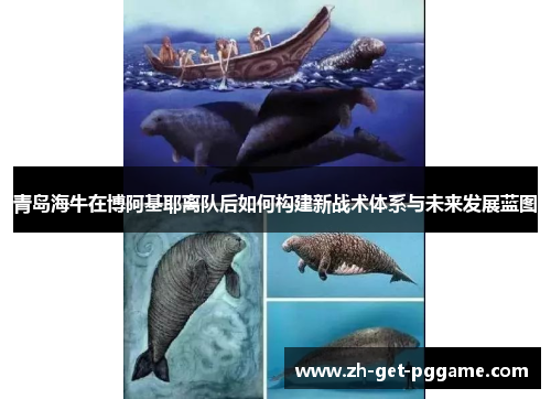 青岛海牛在博阿基耶离队后如何构建新战术体系与未来发展蓝图 青岛海牛在博阿基耶离队后如何构建新战术体系与未来发展蓝图